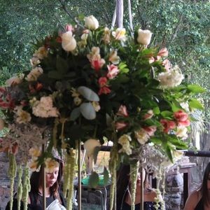 Meet your Posher, Aimee